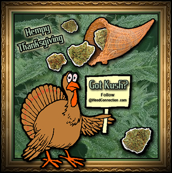 hempythanksgiving