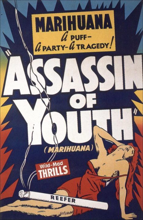 marihuanaassassinofyouth