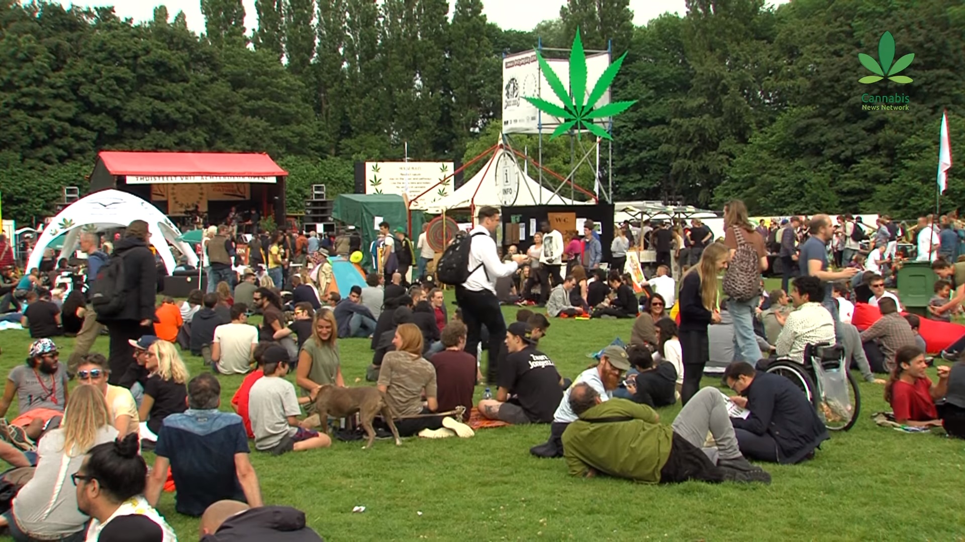Ежегодный фестиваль марихуаны в амстердаме берут ли анализы на марихуану