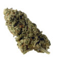 De groene magie van Green Magic