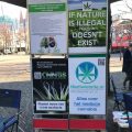 Teken de petitie 'Haal cannabis uit het strafrecht'