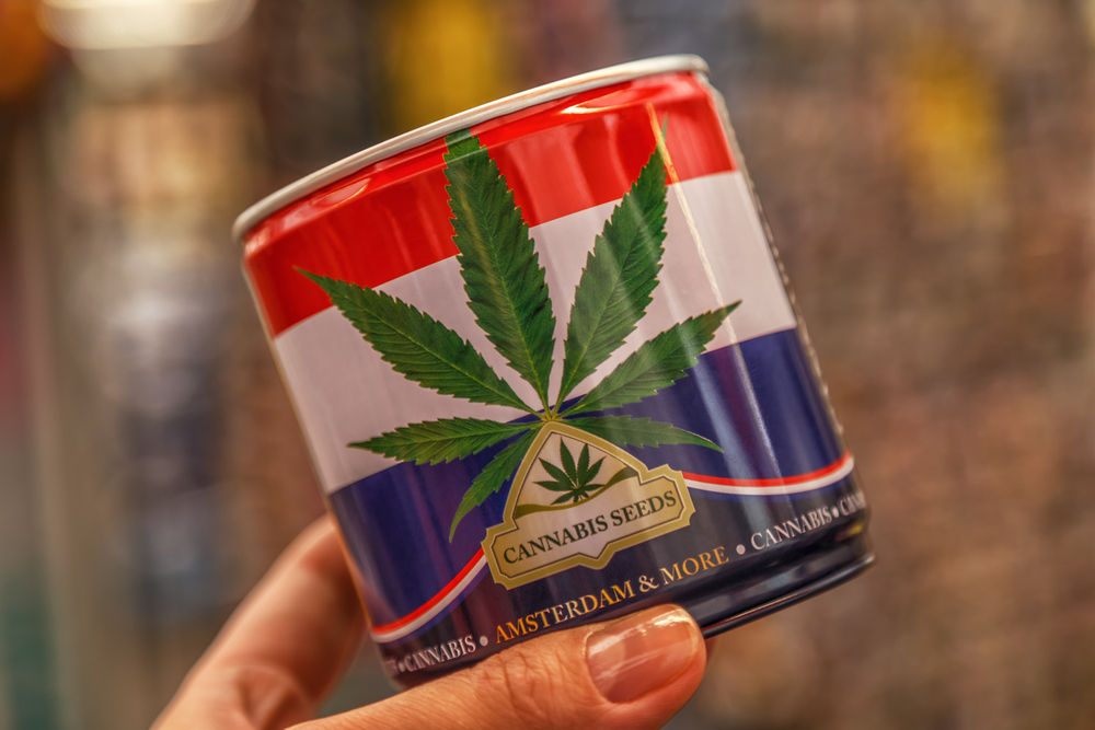Wie maakt de eerste Nederlandse cannabis tv hitserie? CNNBS.nl
