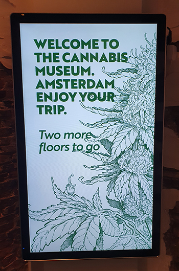 het cannabis museum amsterdam telt drie verdiepingen door cnnbs.nl