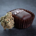 Studie • Chocolade beïnvloedt THC-gehalte in edibles