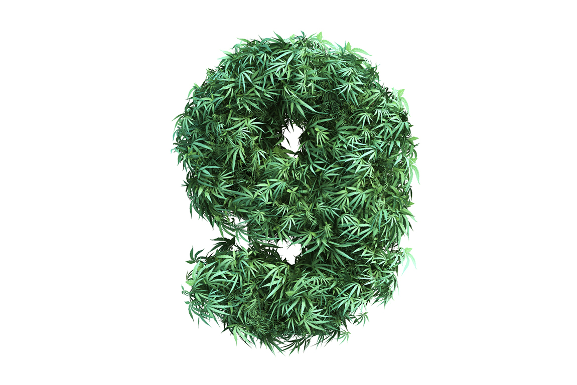 9 factoren voor goede wiet