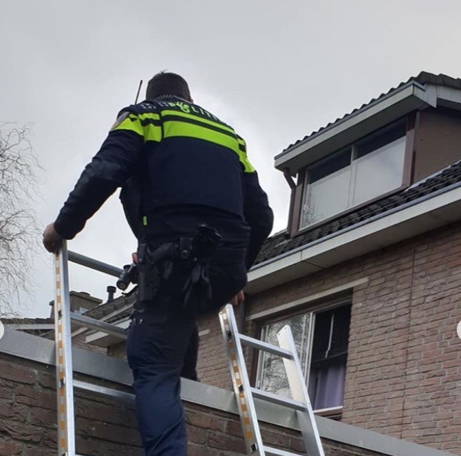 Wijkagent Tilburg ruikt wiet op straat en rolt kwekerij op - CNNBS