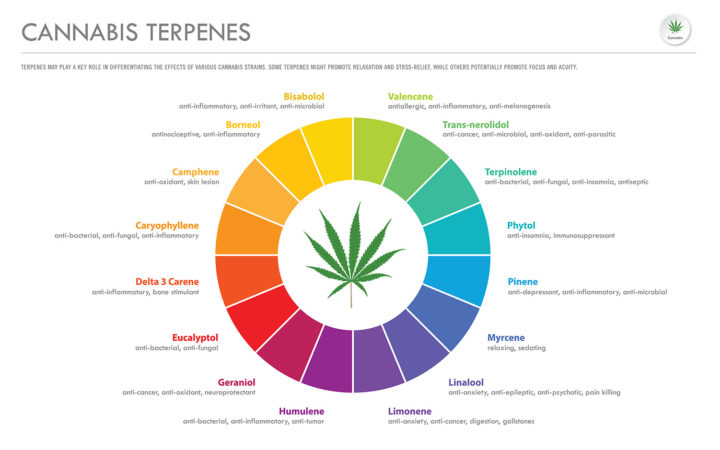 terpenen cannabis