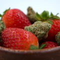 8 tips om wiet te kweken met meer smaak (terpenen)