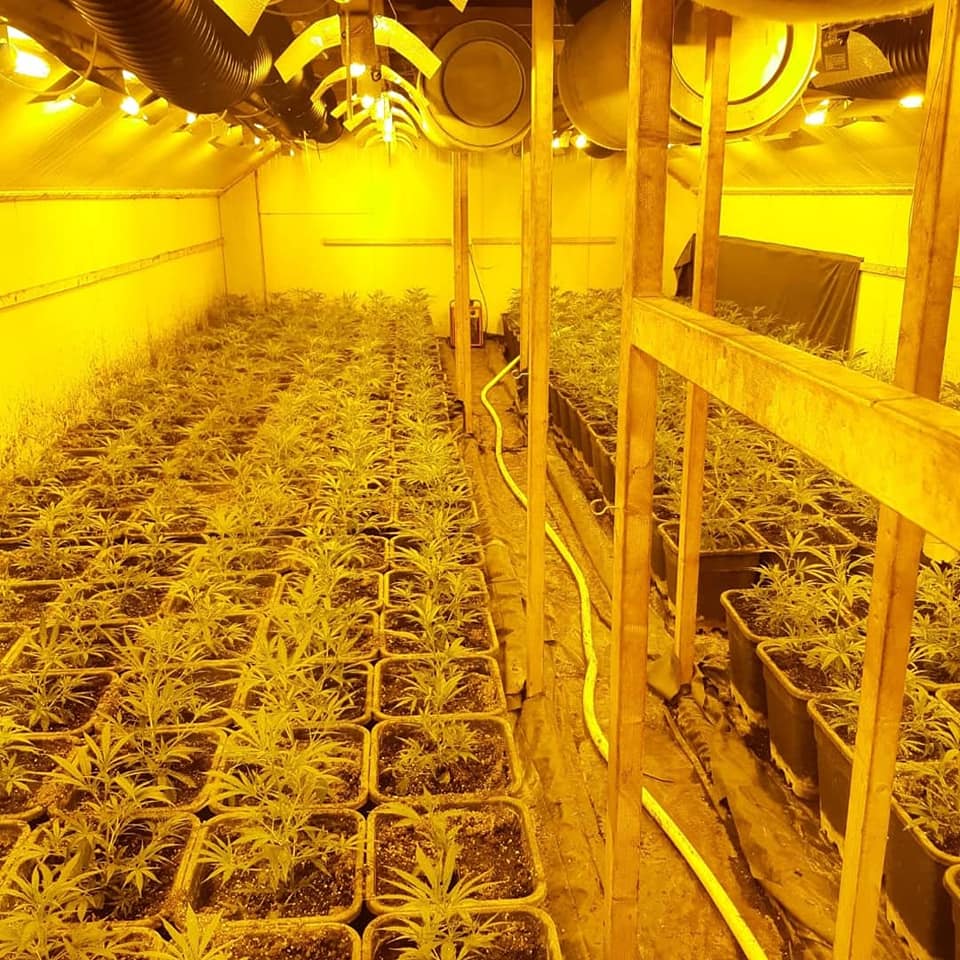 Kwekerij met 1.000 wietplanten opgerold in Deest én in Baak