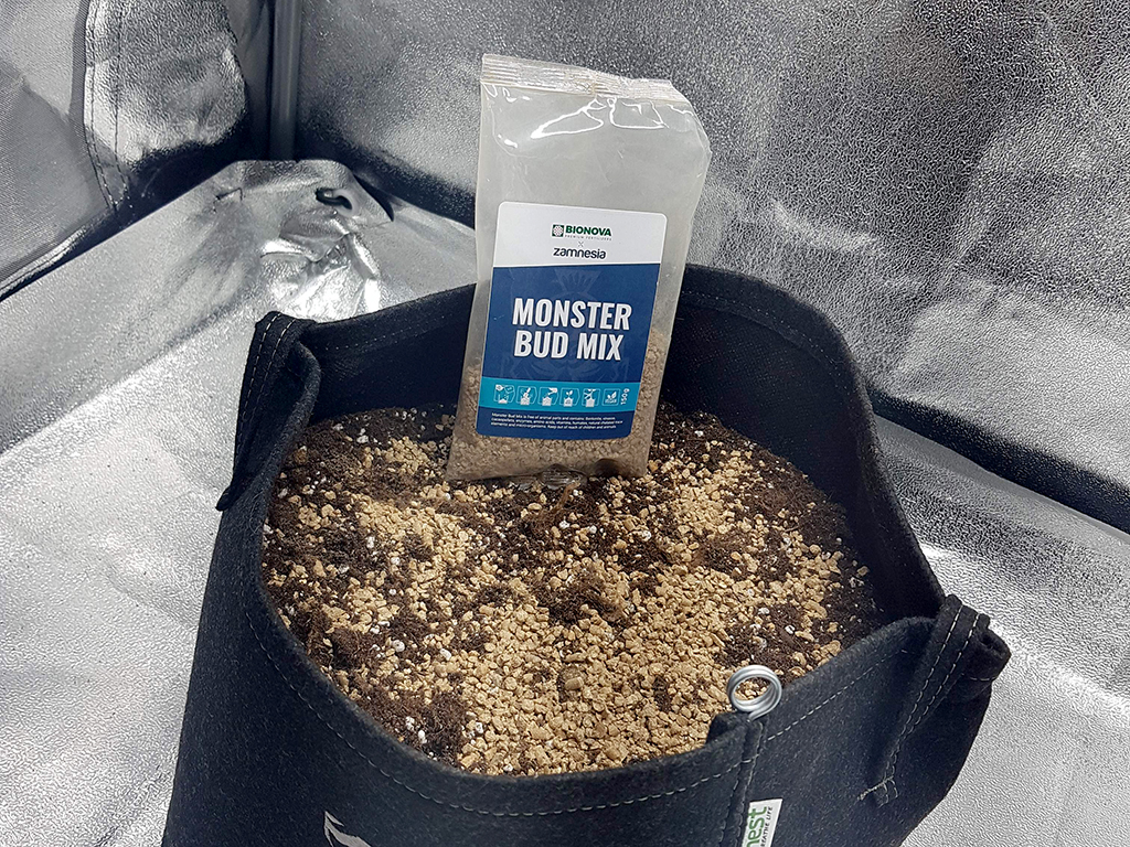 Optimaal kweekgemak met Monster Bud Mix CNNBS.nl