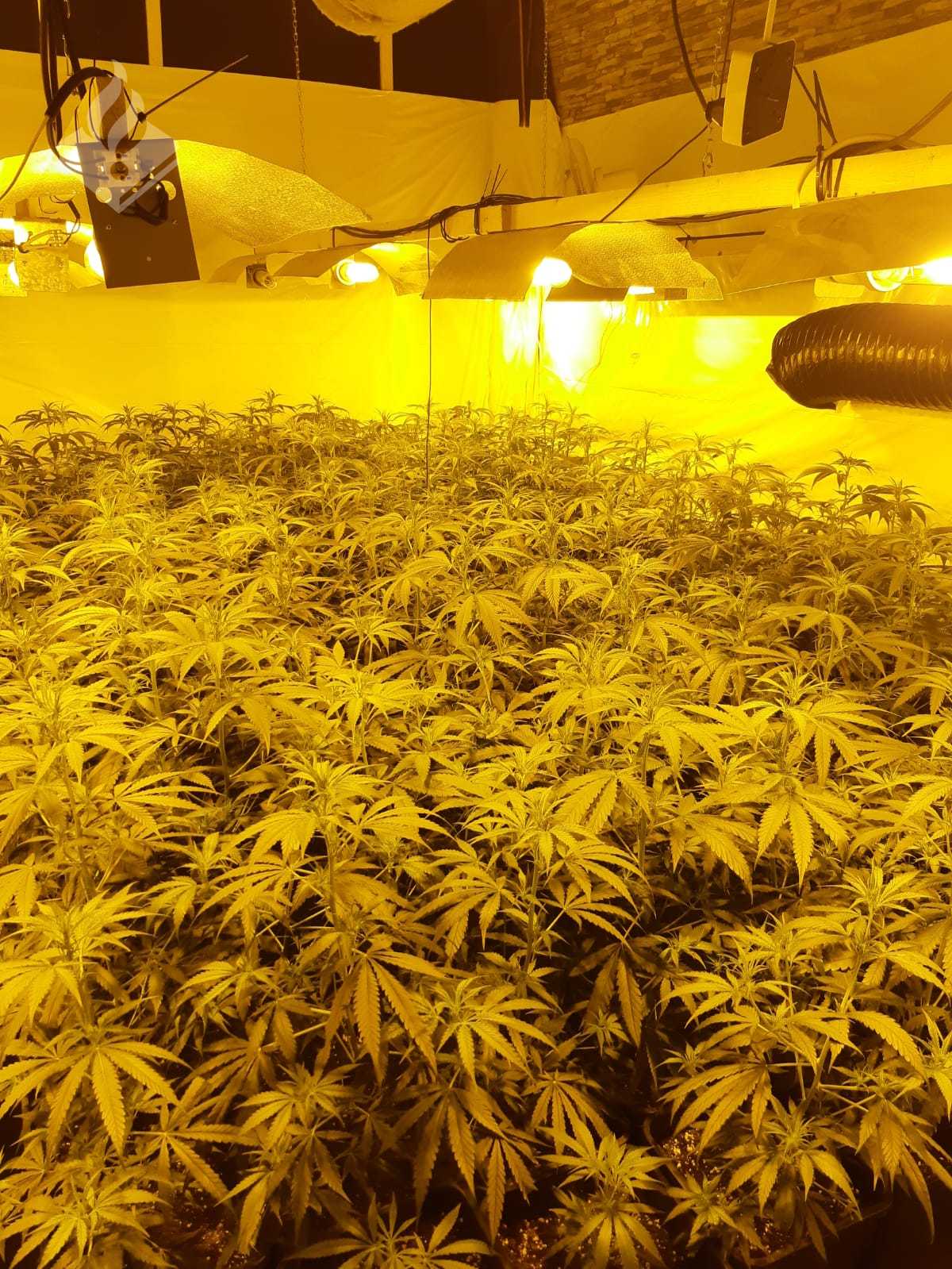 Voor hoeveel wietplanten is dit de stroomvoorziening denk je? CNNBS.nl Voor hoeveel wietplanten is dit de stroomvoorziening denk je? CNNBS.nl
