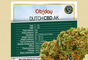 Dutch CBD AK
