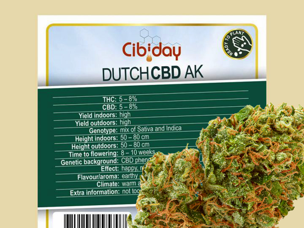 Dutch CBD AK