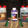 Boosters en supplementen: noodzakelijk voor wietplanten, of kun je ook zonder?