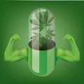 Eindelijk gezond(er) leven? Met deze 10 tips en cannabis lukt dat!