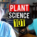 Video: hogere plantenkunde met Dr. Bruce Bugbee en Mr. Grow It