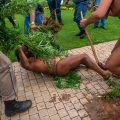 Ai, Hottentottenkoning King Khoisan met wietplanten en al afgevoerd