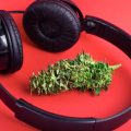 Streamingdienst Spotify draait cannabisplatform Potify de nek om