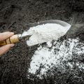 Wanneer en waarom geef je wietplanten calcium (Ca)?