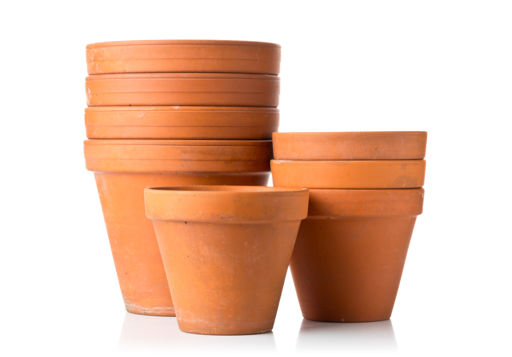 De terracotta pot is niet goed voor wietplanten