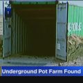 Vijf Chinezen gepakt in ondergrondse wietbunker met 6.000 planten