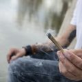 Jongvolwassene gebruikt minder alcohol, sigaretten en pijnstillers na legalisering wiet