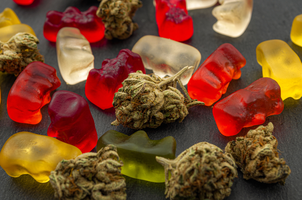 cannabis edibles gummies