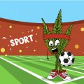 Sporten & Cannabis - op deze 6 manieren verkort wiet de hersteltijd