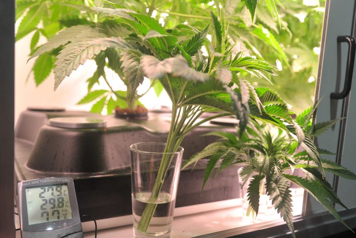 Stekken_Top_glaswater-720x481.jpg