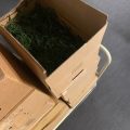 Politie Maastricht massaal in actie om 'dozen met iets groens erin'