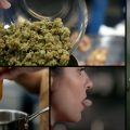 High Cuisine • Kijk hoe lekker (en THC-rijk) cannabis eten is!