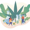Medicinale cannabis • Mediwietsite Weekjournaal #47