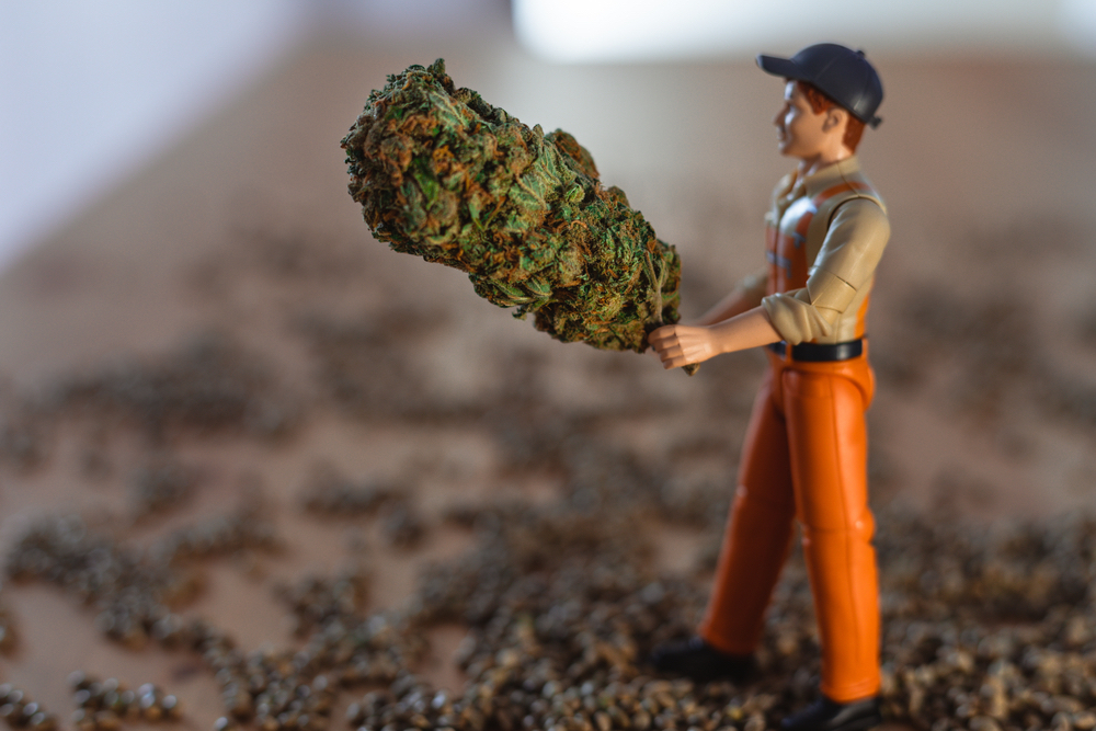 Study • Long-term (pure) smoking does not lead to worse lungs