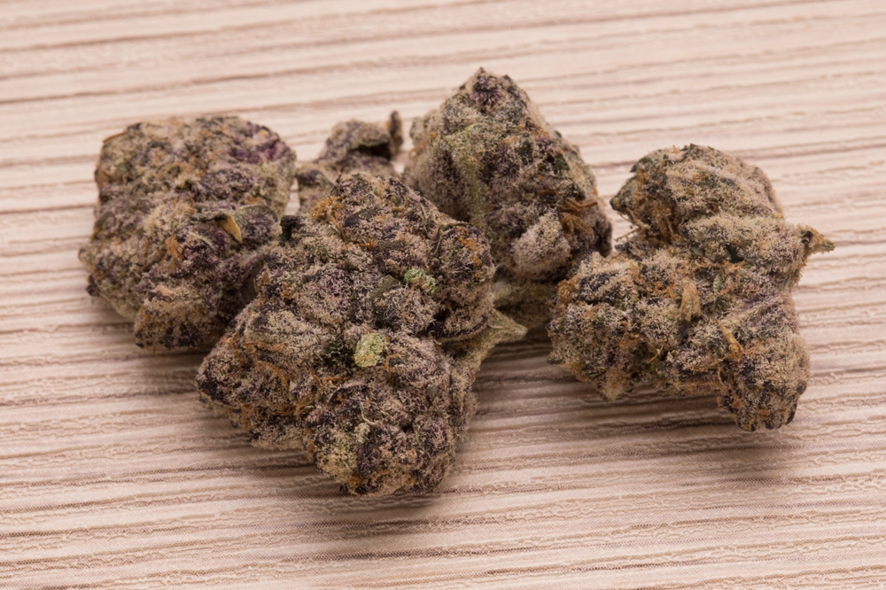 NL kwekers opgelet! Zo 'beat' je Caliwiet CNNBS.nl