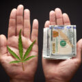 Column • Groot verlies: Leafly stopt met journalistiek