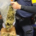 CannaKrakers • 6 nieuwsfoto’s om ff bij stil te staan (#19)