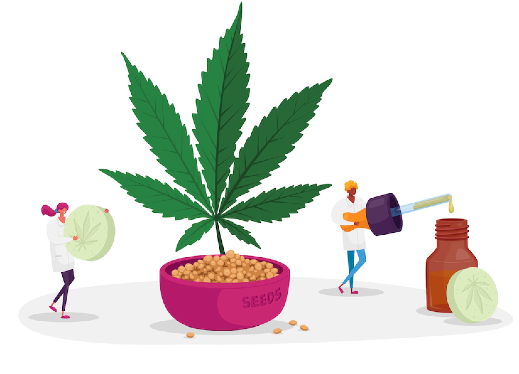 Medicinal weed: Scientific evidence of CBD reducing seizures in treatment-resistant epilepsy, terpenes in cannabis for healing and taste, HHC versus THC, CBD Auto Blackberry Kush and more – Mediwietsite.nl
