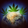 Medicinaal Cannabis Journaal – week 39