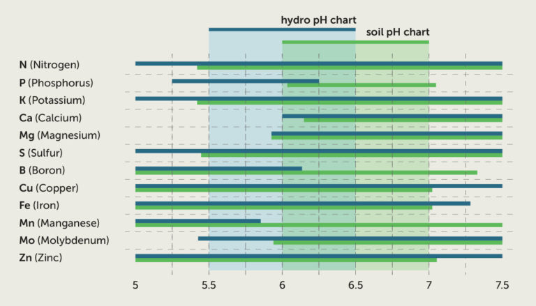 Wat de pH-waarde of zuurtegraad met voedingswater doet - CNNBS.nl