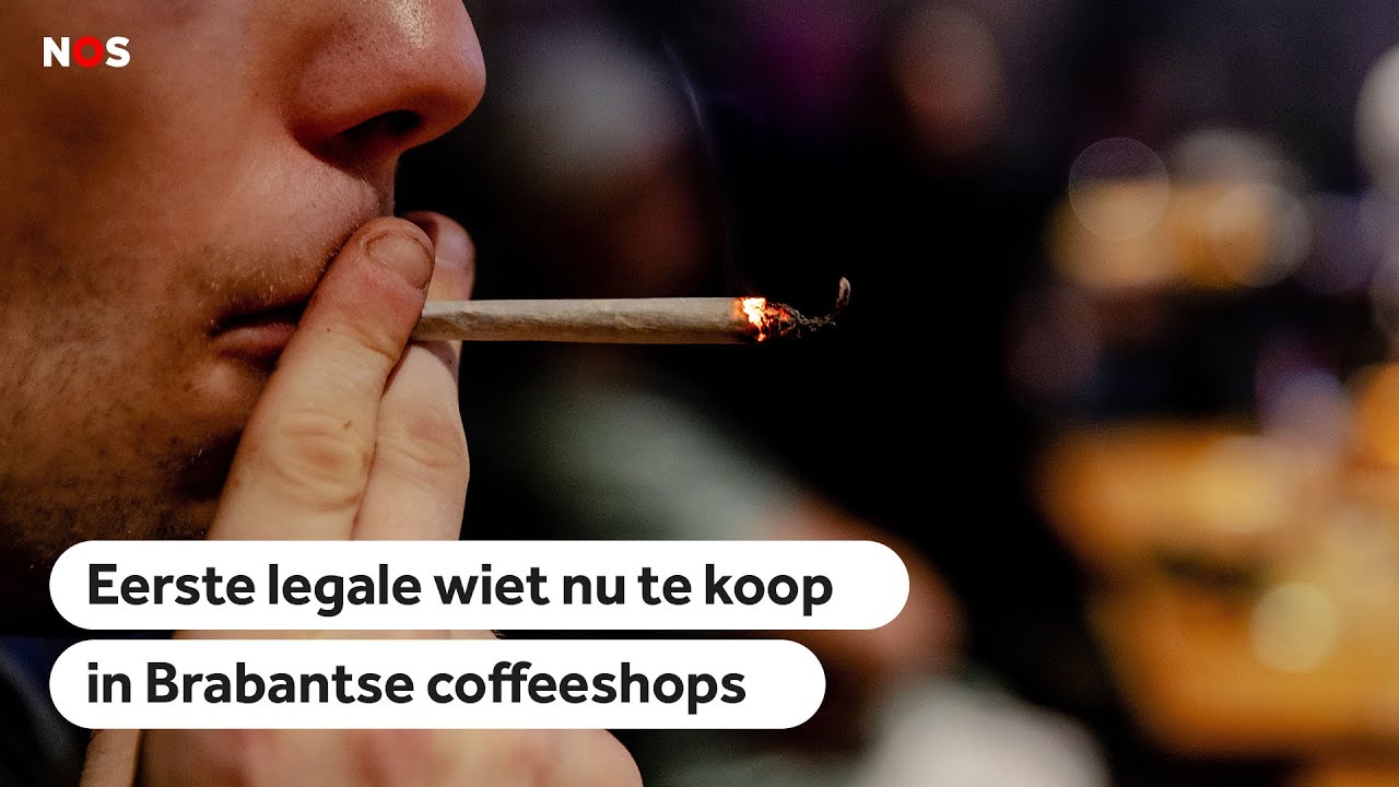 Historische dag voor Nederland: 1e legale wiet in de coffeeshop! - CNNBS.nl
