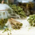 Medicinaal Cannabis Journaal – week 49