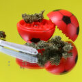 Wetenschap: 'Cannabis maakt sport en beweging plezieriger'
