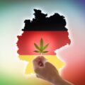 Duitse legalisering cannabis ‘Berlijnse Muur-moment’ voor Europa