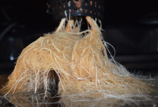 Wiet hydrokweken - wortels in SWC systeem