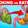 Video >> Blowen vs edibles - wat gebeurt er met je lichaam?