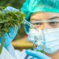 Medicinaal Cannabis Journaal 2024 • #15