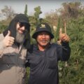 Jolly Roger jaagt op de legendarische Thai Sticks in Thailand