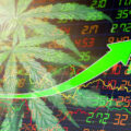 Aandelen cannabisbedrijven VS exploderen na herziening drugswet