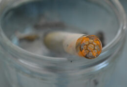 RipTip in asbak