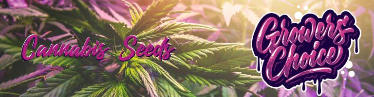 Reizen naar Kroatië: Reisadvies